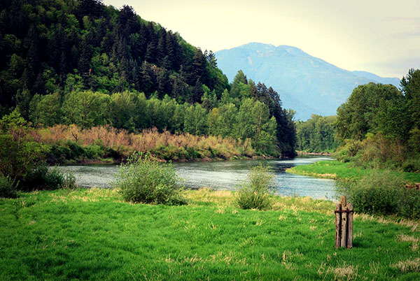 sumas river